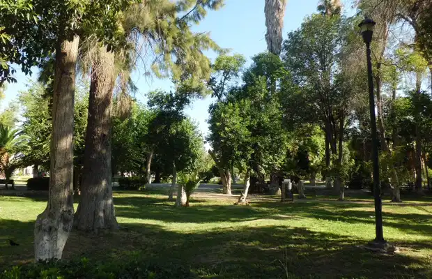 Bosque Venustiano Carranza