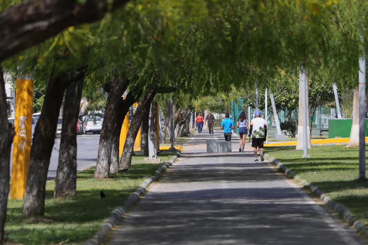 Línea Verde de Torreón
